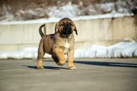 processed/46aa3d7a-4719-4a1e-8504-277ab7e1b7e6/listing/9b3344bd-9a32-4caf-8f08-a6cbeaad6be8/e69120b3-0d7b-442d-8476-5e0350c1884e