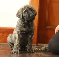 processed/46aa3d7a-4719-4a1e-8504-277ab7e1b7e6/listing/af462e23-25fd-41b5-8010-5a4010b3bfdd/9ea658c2-266b-44a8-bdc5-652787920bf0