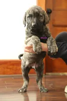 processed/46aa3d7a-4719-4a1e-8504-277ab7e1b7e6/listing/af462e23-25fd-41b5-8010-5a4010b3bfdd/ca1f3ca3-2eb2-40d1-b497-e7a05107cd72