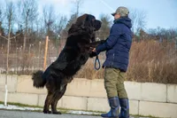 processed/46aa3d7a-4719-4a1e-8504-277ab7e1b7e6/listing/d90382b0-fab2-4b28-b316-a87ce0a9f278/0c7f10f6-4fd4-4b9b-878c-4a2819de7da5