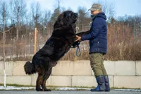 processed/46aa3d7a-4719-4a1e-8504-277ab7e1b7e6/listing/d90382b0-fab2-4b28-b316-a87ce0a9f278/538d6f5a-fca8-41ad-85da-9166f934ebf4