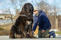 processed/46aa3d7a-4719-4a1e-8504-277ab7e1b7e6/listing/d90382b0-fab2-4b28-b316-a87ce0a9f278/582f17cc-390f-4e11-a351-6b1b4c1f1d6b