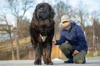 processed/46aa3d7a-4719-4a1e-8504-277ab7e1b7e6/listing/d90382b0-fab2-4b28-b316-a87ce0a9f278/e71dbe3a-a197-4f48-8aab-f806e7d193a5