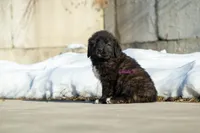 processed/46aa3d7a-4719-4a1e-8504-277ab7e1b7e6/listing/dfcd12bc-10dc-4e1f-98d8-f5347123c448/5e5ad50f-8f01-4ca4-a5b4-de13670d4afe