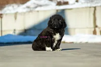 processed/46aa3d7a-4719-4a1e-8504-277ab7e1b7e6/listing/dfcd12bc-10dc-4e1f-98d8-f5347123c448/e53b066c-c3b1-40bd-a005-05c4db601a88