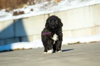 processed/46aa3d7a-4719-4a1e-8504-277ab7e1b7e6/listing/dfcd12bc-10dc-4e1f-98d8-f5347123c448/f4ec5754-487e-41a8-9e95-1893ee306a2d