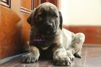 processed/46aa3d7a-4719-4a1e-8504-277ab7e1b7e6/listing/e0b32a53-7ef0-462b-abfb-0e6337878ab7/bb67fb13-ed9d-4fe5-8188-0d5a20fa18c2