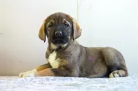 processed/46aa3d7a-4719-4a1e-8504-277ab7e1b7e6/listing/f67cd832-10fb-476c-967d-19ac702ebad7/0dac5e08-92f5-499e-ac56-7a02a2db1dae