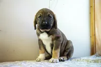 processed/46aa3d7a-4719-4a1e-8504-277ab7e1b7e6/listing/f67cd832-10fb-476c-967d-19ac702ebad7/7fa506a4-d003-44bd-a5fc-81391bf3a2e4