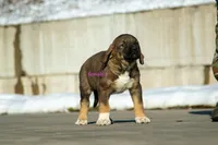 processed/46aa3d7a-4719-4a1e-8504-277ab7e1b7e6/listing/f67cd832-10fb-476c-967d-19ac702ebad7/b7c0ad66-a1d6-4ba8-9ad9-3c231fe3e49f