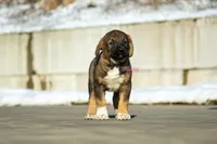 processed/46aa3d7a-4719-4a1e-8504-277ab7e1b7e6/listing/f67cd832-10fb-476c-967d-19ac702ebad7/fd609841-9ddf-41fe-a909-dda3b40f6342