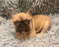 processed/46b15587-6597-4e39-a11f-0d3da6a40258/listing/cc9f11a2-d200-484e-b54c-4231b8af8916/6eca1018-cd40-461b-ba74-4f28132a96d8