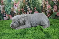 Misty, a female Labrador Retriever for sale in Stockton, MO – 4 of 5