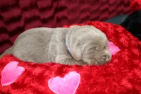 processed/46b25f3f-8205-4c3e-9f19-7d4c37302470/listing/6fd587cc-ad30-479b-b658-07d9a60d295a/13a053c6-97ad-4a0b-b72c-d285ce25940f