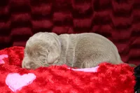 processed/46b25f3f-8205-4c3e-9f19-7d4c37302470/listing/6fd587cc-ad30-479b-b658-07d9a60d295a/449be237-7fbe-4d2c-ab10-a835d29d436e