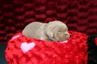 processed/46b25f3f-8205-4c3e-9f19-7d4c37302470/listing/6fd587cc-ad30-479b-b658-07d9a60d295a/6770eafe-aec6-453d-8f41-4653a8c54e84