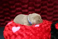 processed/46b25f3f-8205-4c3e-9f19-7d4c37302470/listing/6fd587cc-ad30-479b-b658-07d9a60d295a/935118a9-932e-4339-a1a8-bcaf7601962a