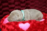 processed/46b25f3f-8205-4c3e-9f19-7d4c37302470/listing/a152b8e2-cf89-444a-951c-5bef0cbd08d1/50b982f2-00a6-416c-928d-c2d6a4d29097