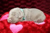 processed/46b25f3f-8205-4c3e-9f19-7d4c37302470/listing/a152b8e2-cf89-444a-951c-5bef0cbd08d1/7b3b51df-33d3-463b-a58f-7cca1bfcd3bd