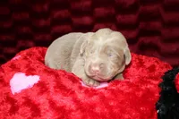 processed/46b25f3f-8205-4c3e-9f19-7d4c37302470/listing/a152b8e2-cf89-444a-951c-5bef0cbd08d1/ba890d3b-880f-4125-893e-c4d60da6eb2f