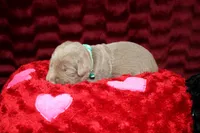 processed/46b25f3f-8205-4c3e-9f19-7d4c37302470/listing/a152b8e2-cf89-444a-951c-5bef0cbd08d1/c22bd59c-edfa-4aa1-980b-d2a0e32eeb51