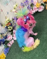 Gallifrey, a female Maltese for sale in Prairie Grove, AR – Photo 6 of 10