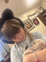 Cyberman, a male Maltese for sale in Prairie Grove, AR – Photo 6 of 10