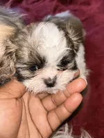 processed/46b9c712-a2ae-4706-a001-4a9ee2a0f70f/listing/a7fa1fa7-b11b-43c8-af6d-f1d754c61cc6/05bcde51-2e6e-4475-95ab-709ce7f532b4