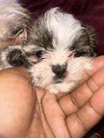 processed/46b9c712-a2ae-4706-a001-4a9ee2a0f70f/listing/a7fa1fa7-b11b-43c8-af6d-f1d754c61cc6/0c64424e-7887-4304-9575-c2c03cf606a5