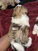 processed/46b9c712-a2ae-4706-a001-4a9ee2a0f70f/listing/a7fa1fa7-b11b-43c8-af6d-f1d754c61cc6/84828196-ecdc-4574-92b2-267802234fb3