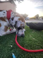 processed/46c26755-064e-451e-86ea-41f08f00a1ca/listing/22146e08-e002-43d9-acc4-c77433c74b76/d15241bb-fa4c-4121-9b03-6d352af012dc