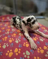 processed/46c26755-064e-451e-86ea-41f08f00a1ca/listing/be8ead08-5d08-4431-b9bc-04dab0b8b2c5/af4cf48c-f7d2-4d50-95b8-9a196f22666a