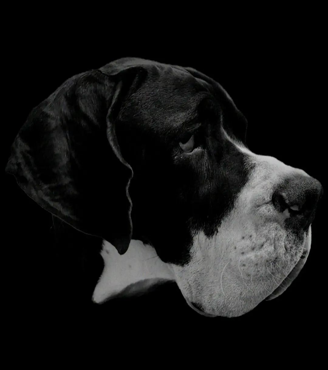 processed/46c26755-064e-451e-86ea-41f08f00a1ca/listing/be8ead08-5d08-4431-b9bc-04dab0b8b2c5/f7e1c910-e765-4896-bf23-24e0df68be41