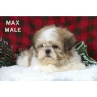 processed/46c3c4b4-8c0c-457b-bc12-cea586aa8f21/listing/1f555633-6731-4ac1-a669-df5e4b0030a2/14e31c7f-1b98-44a6-943e-1c5fb537cb0a