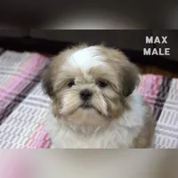 processed/46c3c4b4-8c0c-457b-bc12-cea586aa8f21/listing/1f555633-6731-4ac1-a669-df5e4b0030a2/1fbc6201-7758-4d0f-8827-905554b0321f