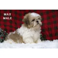 processed/46c3c4b4-8c0c-457b-bc12-cea586aa8f21/listing/1f555633-6731-4ac1-a669-df5e4b0030a2/5aa96a97-e06a-4338-99b1-6d5c2dd23674