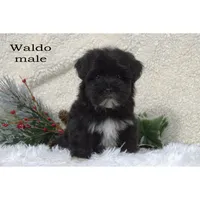 processed/46c3c4b4-8c0c-457b-bc12-cea586aa8f21/listing/214f8eed-1c4f-4fac-aca5-8a89bd30a6b2/4915859c-eaa5-4430-9df3-fe49ce4236fe