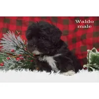 processed/46c3c4b4-8c0c-457b-bc12-cea586aa8f21/listing/214f8eed-1c4f-4fac-aca5-8a89bd30a6b2/966caa0f-8be9-4134-9511-d0530e27f077