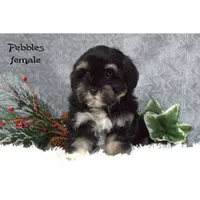 processed/46c3c4b4-8c0c-457b-bc12-cea586aa8f21/listing/8b3c9010-87d1-4b7c-8db1-e91b1a53c2a8/0880083d-c03f-4190-bb3c-a0fbb064d7c8