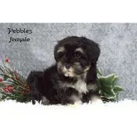 processed/46c3c4b4-8c0c-457b-bc12-cea586aa8f21/listing/8b3c9010-87d1-4b7c-8db1-e91b1a53c2a8/34b8990f-be41-4156-980c-cc2c6731918e