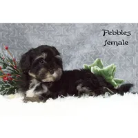 processed/46c3c4b4-8c0c-457b-bc12-cea586aa8f21/listing/8b3c9010-87d1-4b7c-8db1-e91b1a53c2a8/4127c4b7-d06f-4938-add0-eb6de4977527