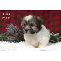 processed/46c3c4b4-8c0c-457b-bc12-cea586aa8f21/listing/ca9cfea0-a13c-48a4-af23-6e041923e993/147cfc3f-361f-40a6-be1f-73788f7ea4bd