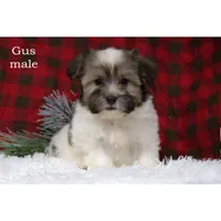 processed/46c3c4b4-8c0c-457b-bc12-cea586aa8f21/listing/ca9cfea0-a13c-48a4-af23-6e041923e993/d0a948f1-58ba-4a34-9d5d-cc191ac557a9