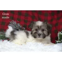 processed/46c3c4b4-8c0c-457b-bc12-cea586aa8f21/listing/ca9cfea0-a13c-48a4-af23-6e041923e993/eb341c9f-4a24-46d7-9db0-3b95a5b75339