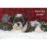 processed/46c3c4b4-8c0c-457b-bc12-cea586aa8f21/listing/d928a6a2-30d1-45dc-9ae4-0ca23a66ceee/1970f4ae-f18e-46f0-a8c0-0e9f70773785