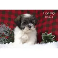 processed/46c3c4b4-8c0c-457b-bc12-cea586aa8f21/listing/d928a6a2-30d1-45dc-9ae4-0ca23a66ceee/e974811f-2ec0-4188-b74f-151d5d914933