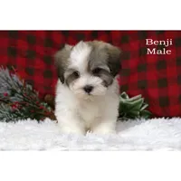 processed/46c3c4b4-8c0c-457b-bc12-cea586aa8f21/listing/f2afa6c3-bae9-4727-85fa-9375a963e778/123f33f6-5416-4835-9952-5d8a7dcc9de2