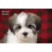 processed/46c3c4b4-8c0c-457b-bc12-cea586aa8f21/listing/f2afa6c3-bae9-4727-85fa-9375a963e778/432df89a-97c5-4680-b684-e4499eb360db