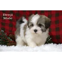 processed/46c3c4b4-8c0c-457b-bc12-cea586aa8f21/listing/f2afa6c3-bae9-4727-85fa-9375a963e778/e65f3329-ab78-4c63-8635-3a4415225809