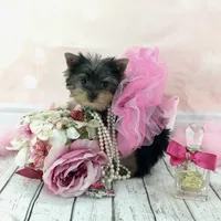 processed/46d4e5fc-bece-406d-a77f-fba0554c4dea/facility/149c704a-1b60-4519-8968-9840e9752759